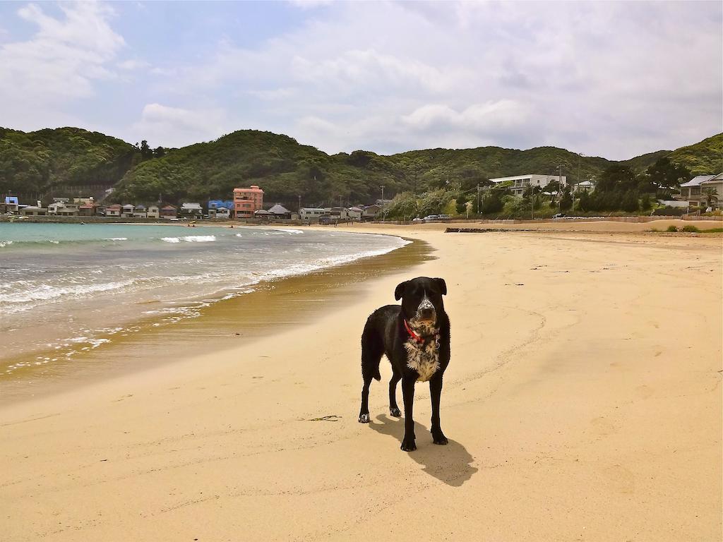 Hareya Hotel Shimoda  Exterior photo
